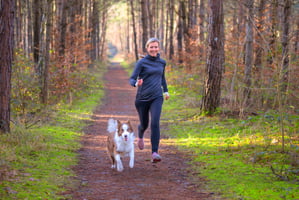 Total Hip Replacement: A New Option for Treating Hip Dysplasia in Pets image