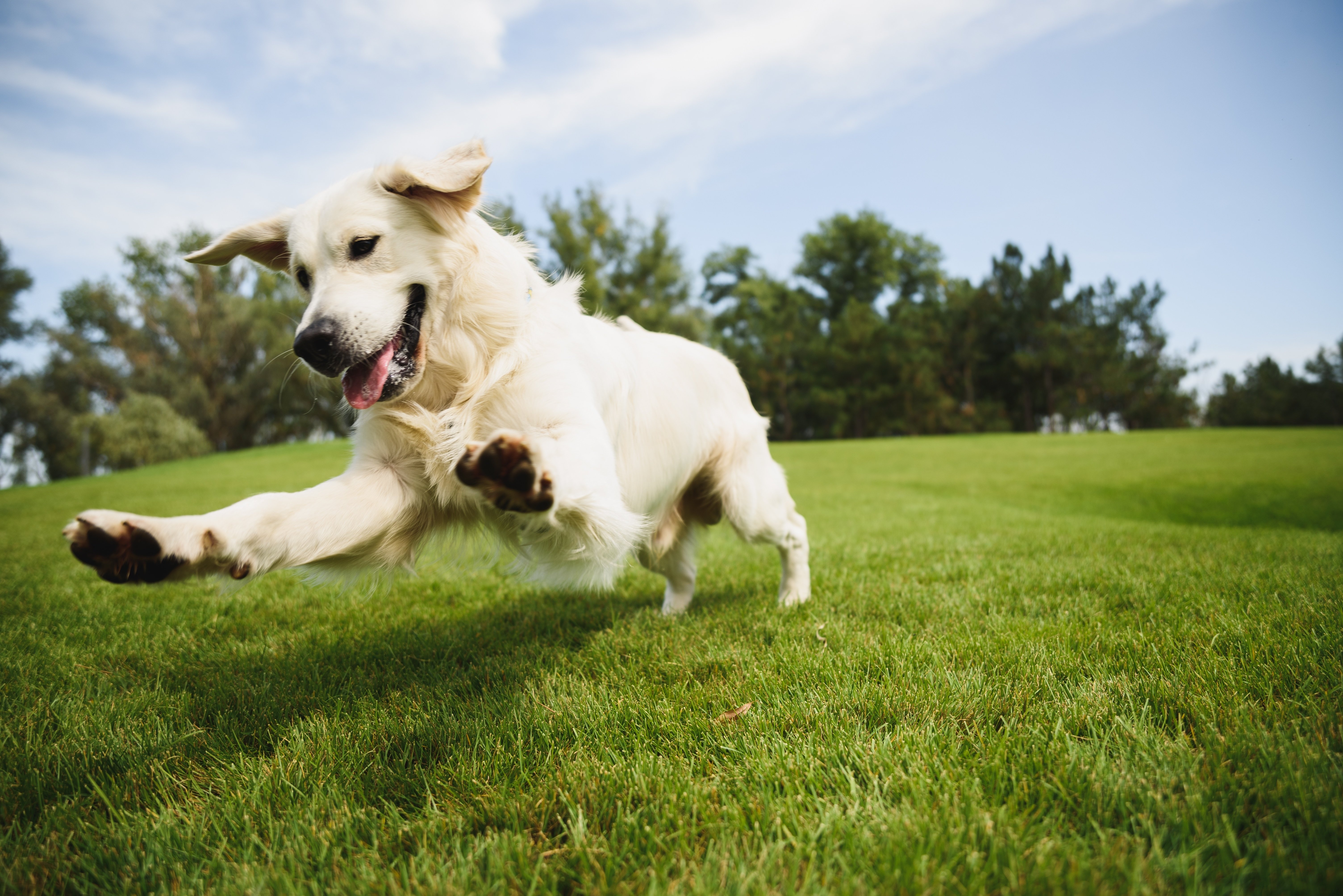 shutterstock_2205974177-2