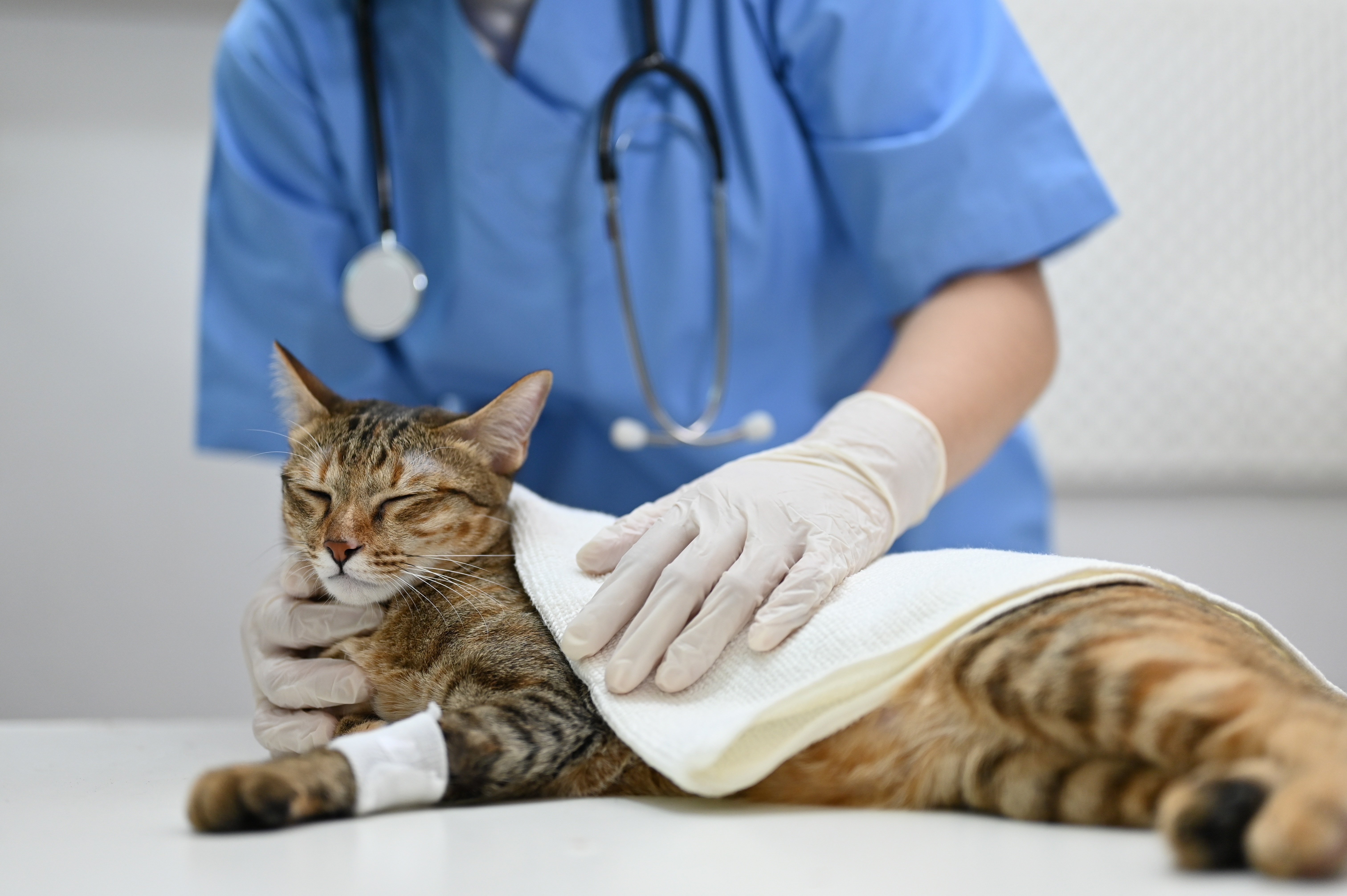 Emergency surgeries
