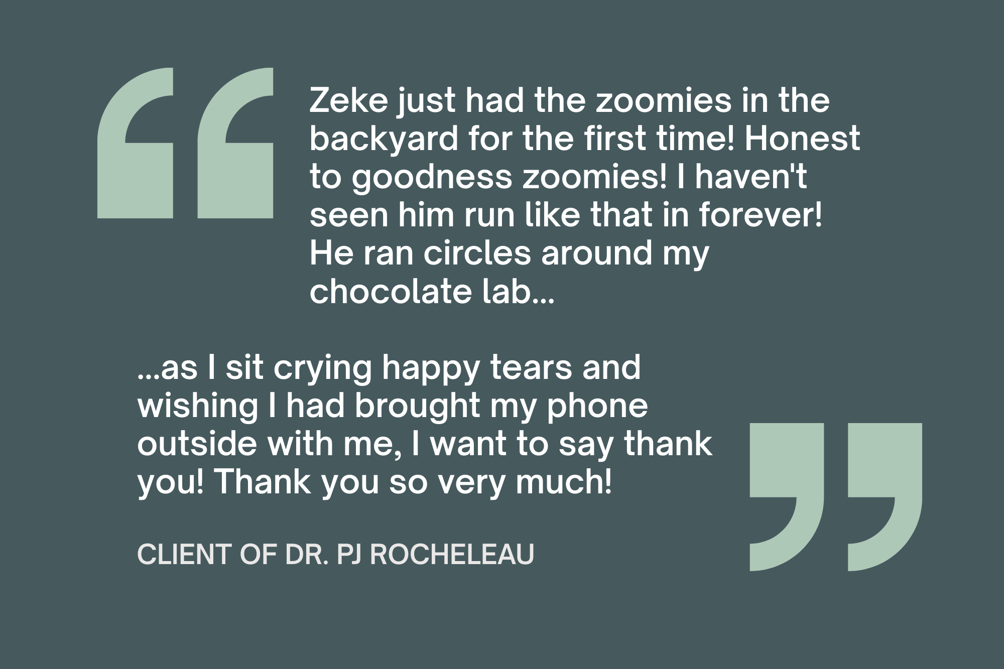 Pet Patients quote image (2)