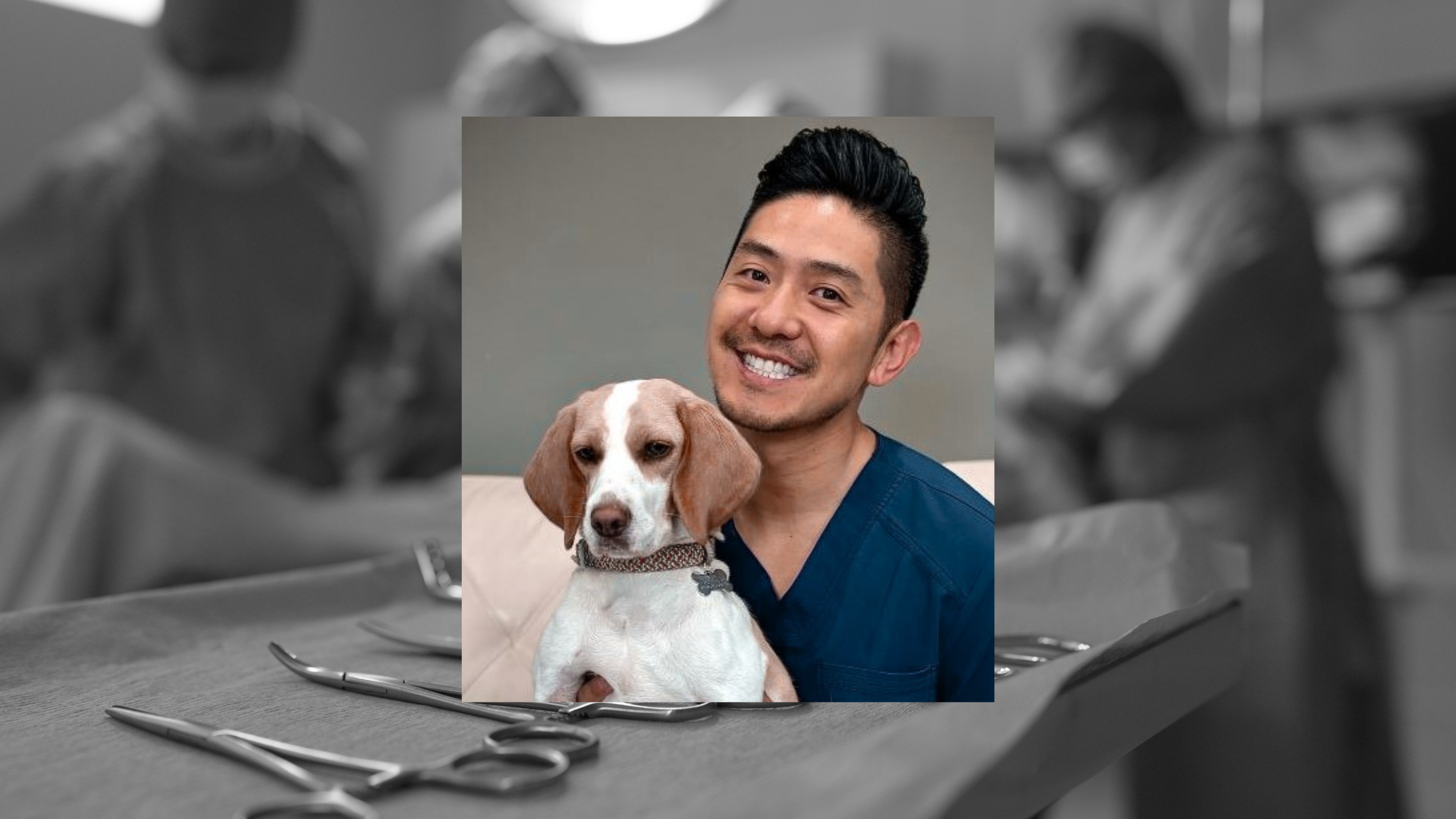 Untitled design (18)